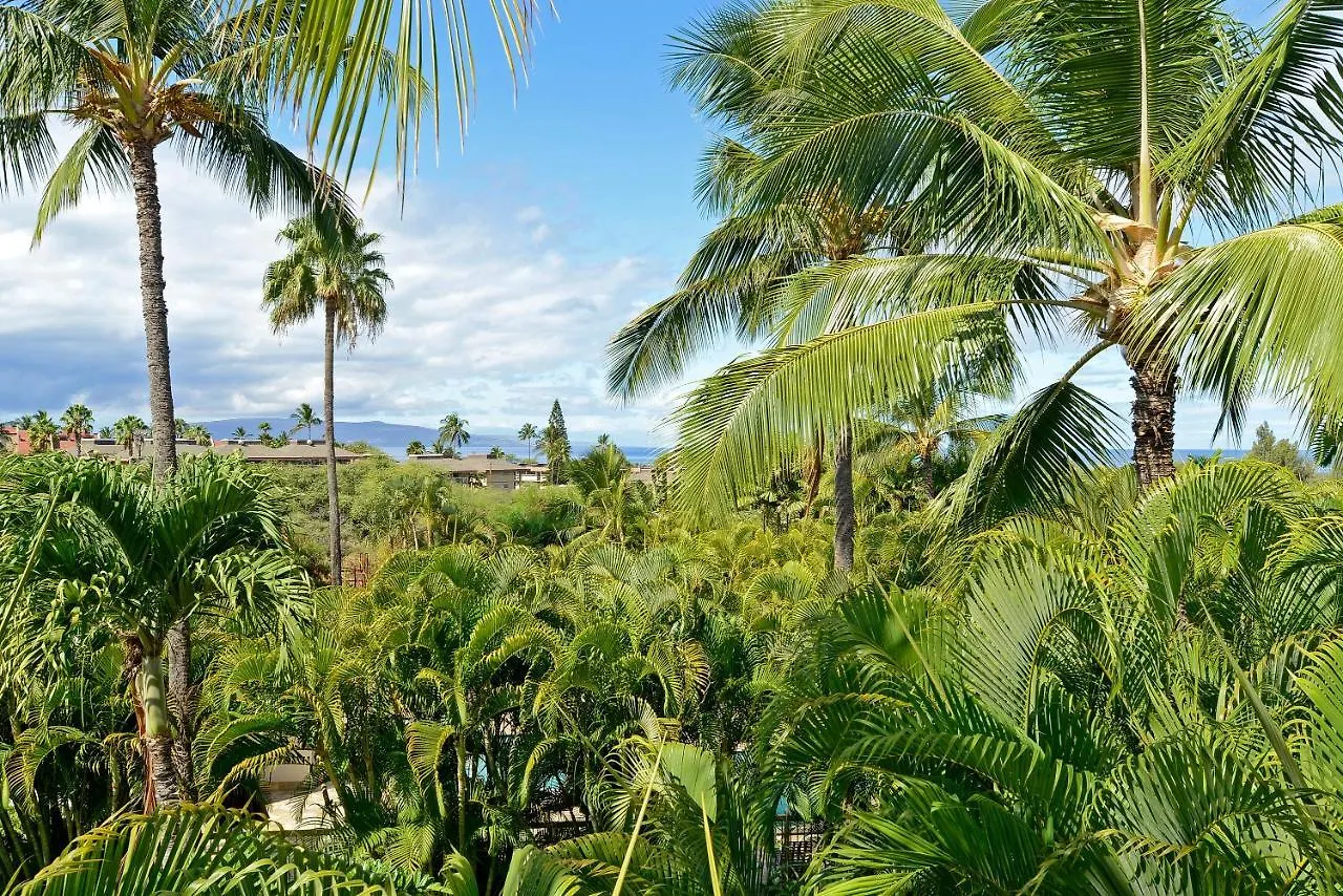 Maui Banyan T-305B Apartment Wailea  0*, Wailea (Maui) United States