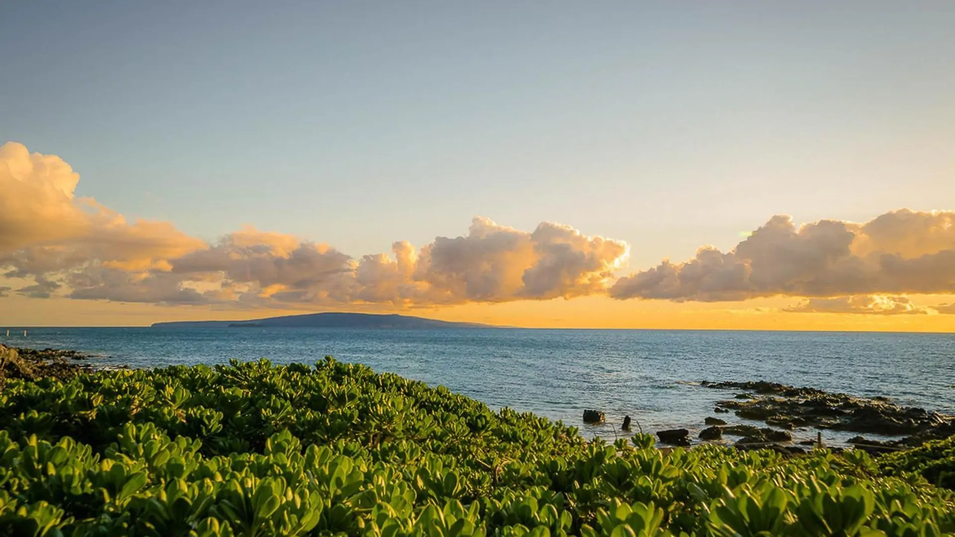 Maui Banyan T-305B Apartment Wailea   Wailea (Maui)