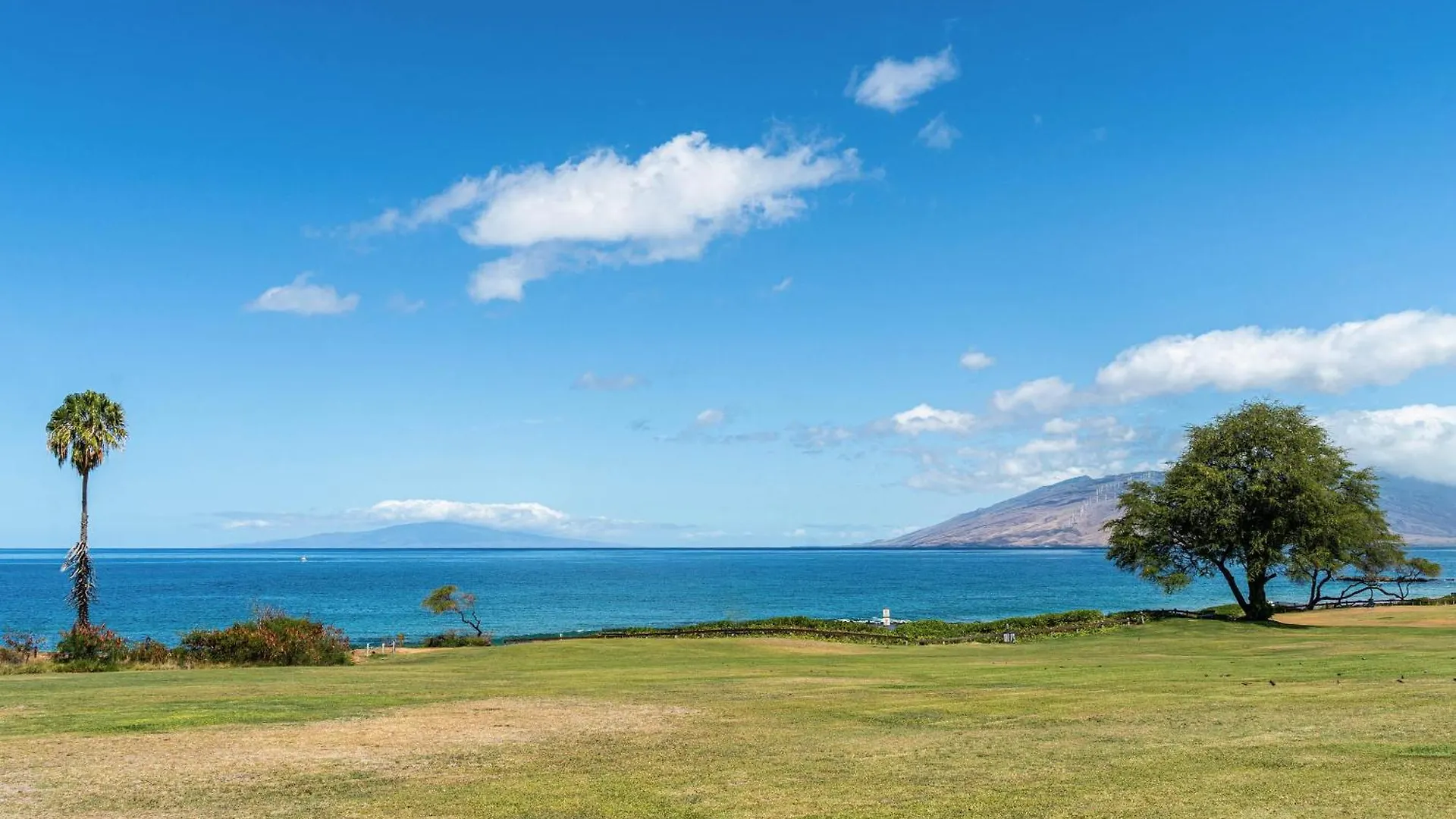 Maui Banyan T-305B Apartment Wailea  United States