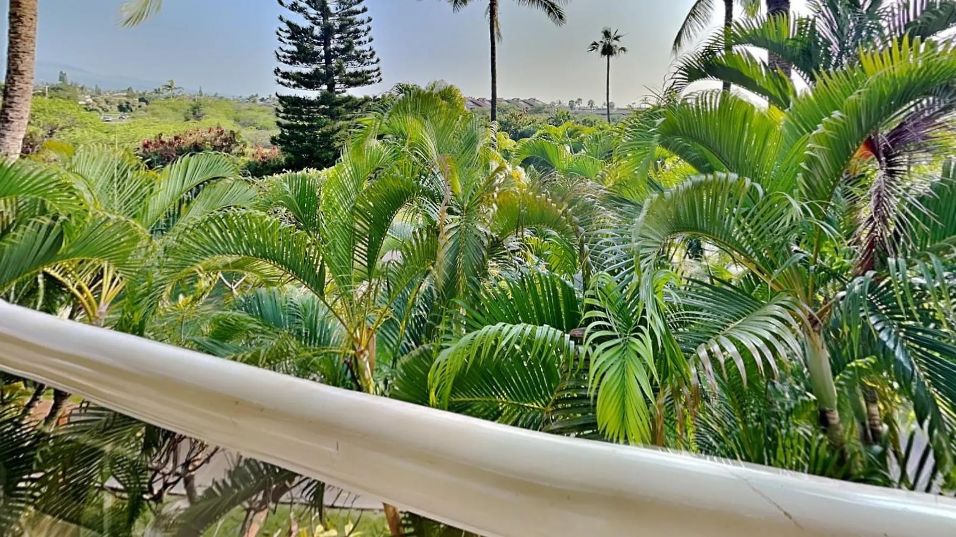 Maui Banyan T-305B Apartment Wailea  United States